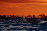 хреновое лето :D