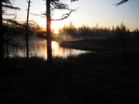 Раннее утро