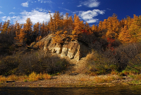 Разноцветье