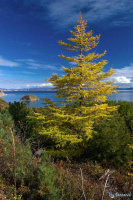 завтра была зима...