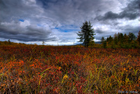 краски осени