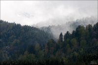 Зималето в Белокурихе (2)