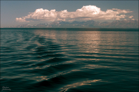 Терра Инкогнита