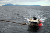 "Медвежий" остров