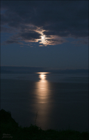 Лунная тропинка