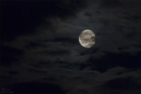 Пятница, 13-е