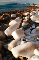 "Арахис в сахаре"