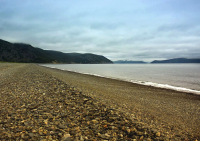 Каменистая волна