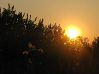 летний закат