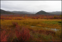 Краски осени