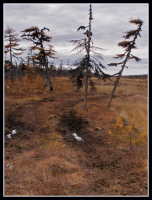 Дорогами Колымы