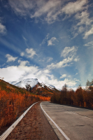 ...дороги осени