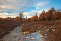...одела осень медью лес под сводом голубых небес