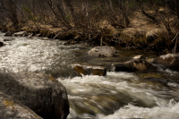 Природа просыпается...