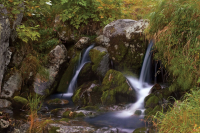 Прольется этот свет...