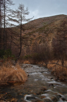 А нынче время истекло...