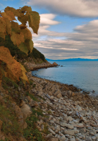 Помнишь море синим цветом провожало солнечное лето...