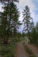 Нет дороге окончанья...