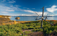 Гертнера в сентябре