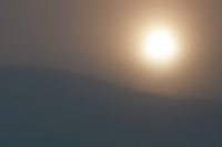 Солнечный день декабря