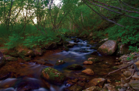 р. Холодный