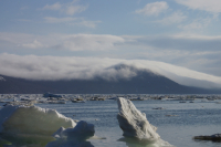Борьба противоположностей