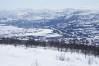 А город где-то внизу