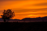 Закат за Арманью