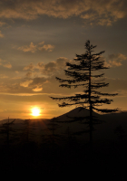 Свет уходящего дня