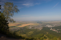 Предгорье Алтая