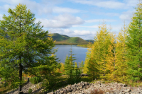 Осенняя пора, очей очарованье