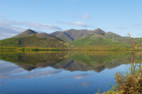 Отражение осени