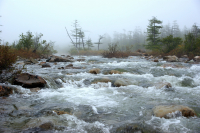 Бурная речка