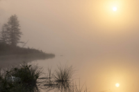 Таинственный РасСвет