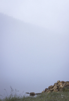 ...пространство для творчества