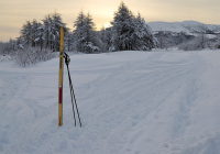 Лыжня зовет