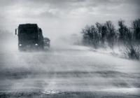 Такая вот весна