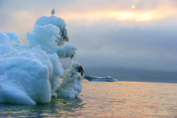 Охотский айсберг