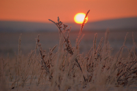 Первый восход