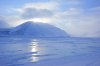 Белое безмолвие