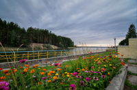 Дыхание лета