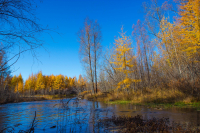 Магаданская осень