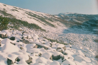 марчеканка осенью на пленку