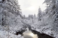 Зимний пейзаж