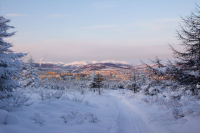 Дорога домой