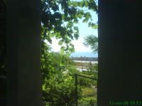 Выход в лето