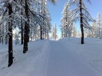В сторону перевала "Жаркий"