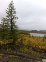 Вся палитра...