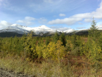 Кстати с телефона фотала..