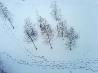 следы под мостом